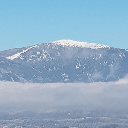 Alpe-Adria Apartments Chanel Top12 Oberaichwald  Dış mekan fotoğraf