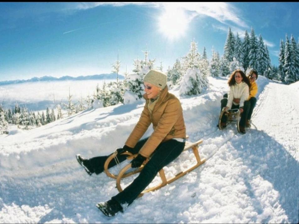 Alpe-Adria Apartments Chanel Top12 Oberaichwald  Dış mekan fotoğraf