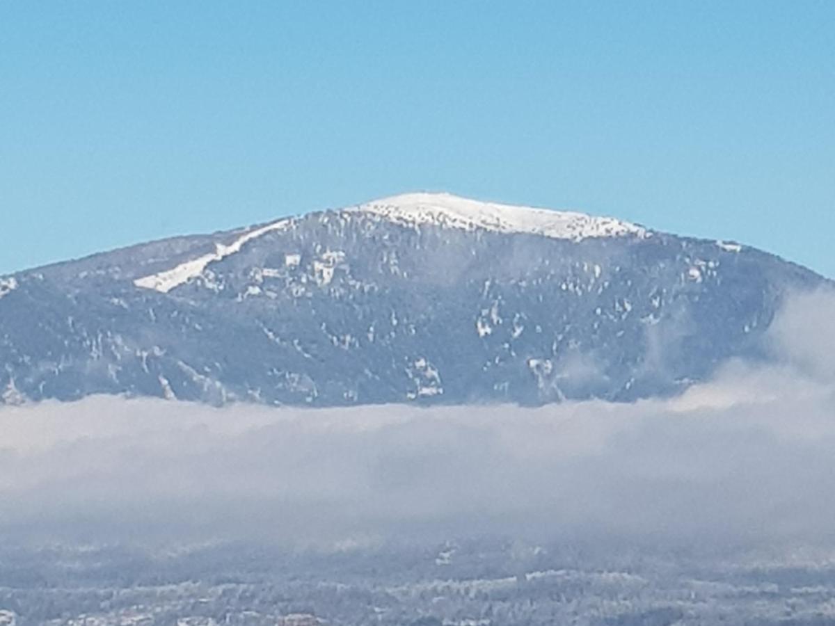 Alpe-Adria Apartments Chanel Top12 Oberaichwald  Dış mekan fotoğraf